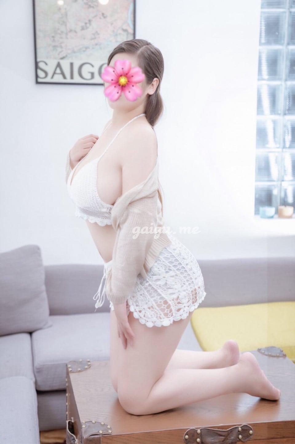 BẢO HÂN - VÚ TO - PHỤC VỤ TỐT 第3张